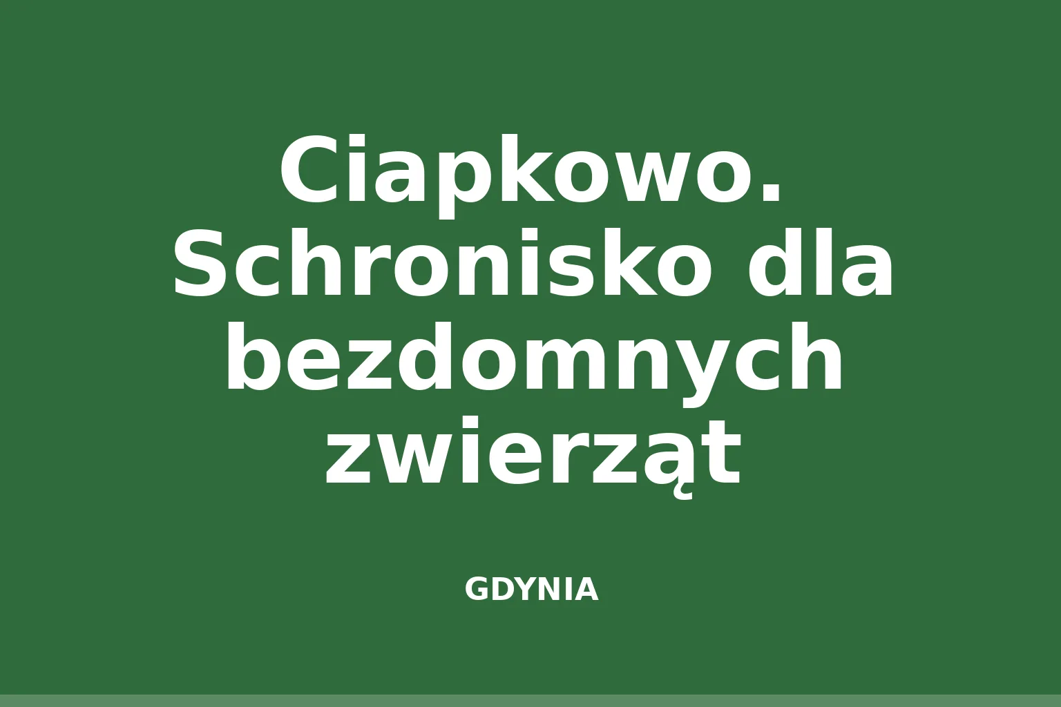Ciapkowo. Schronisko dla bezdomnych zwierząt