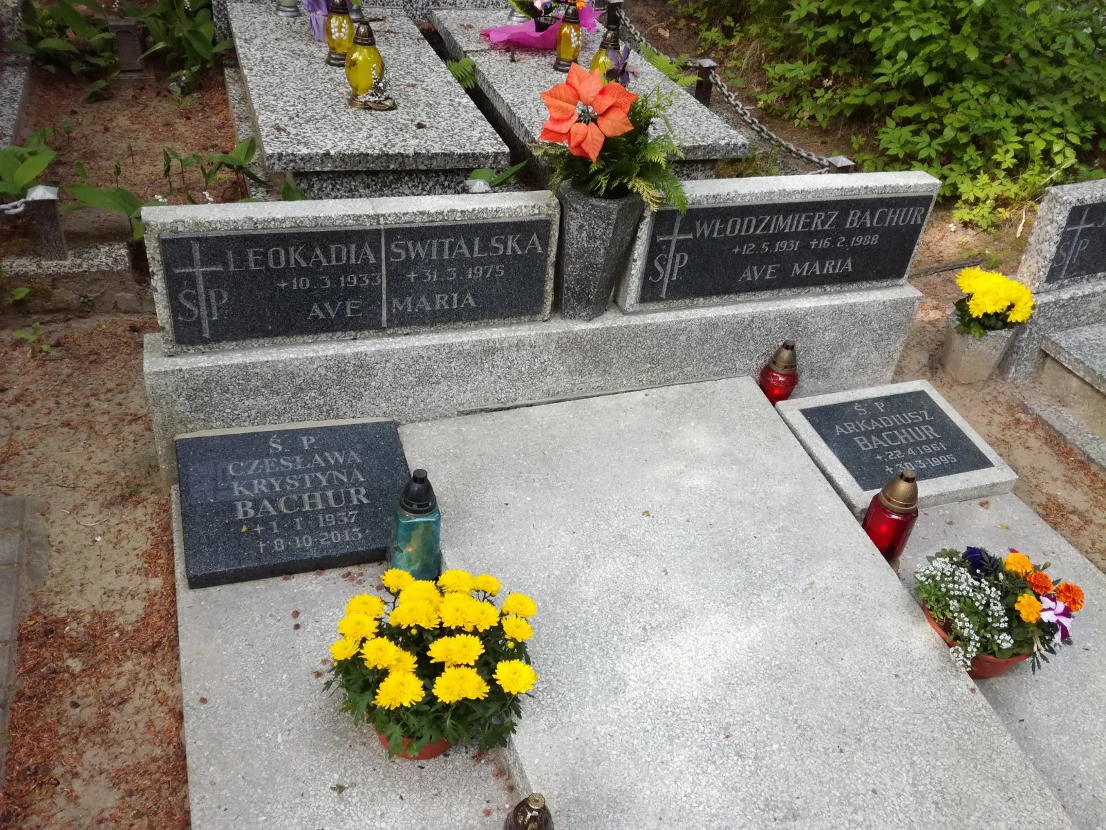 Arkadiusz Bachur
